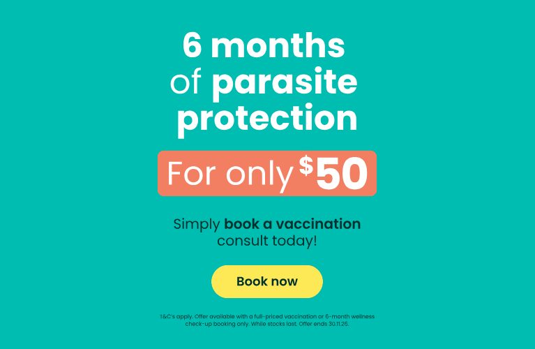 6 months of parasite protection for only $50. T&C's apply. Offer ends 30.11.26.